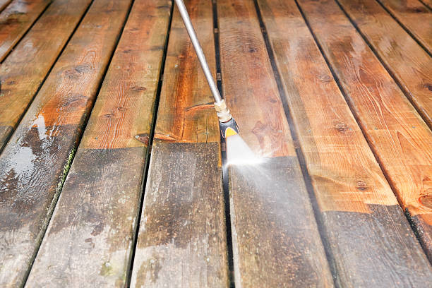 Animal Enclosure Cleaning in Garberville, CA